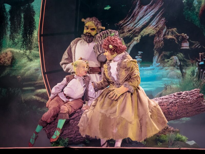 Shrek, Musicalul